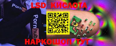 СК Дубна