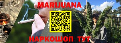 СК Дубна